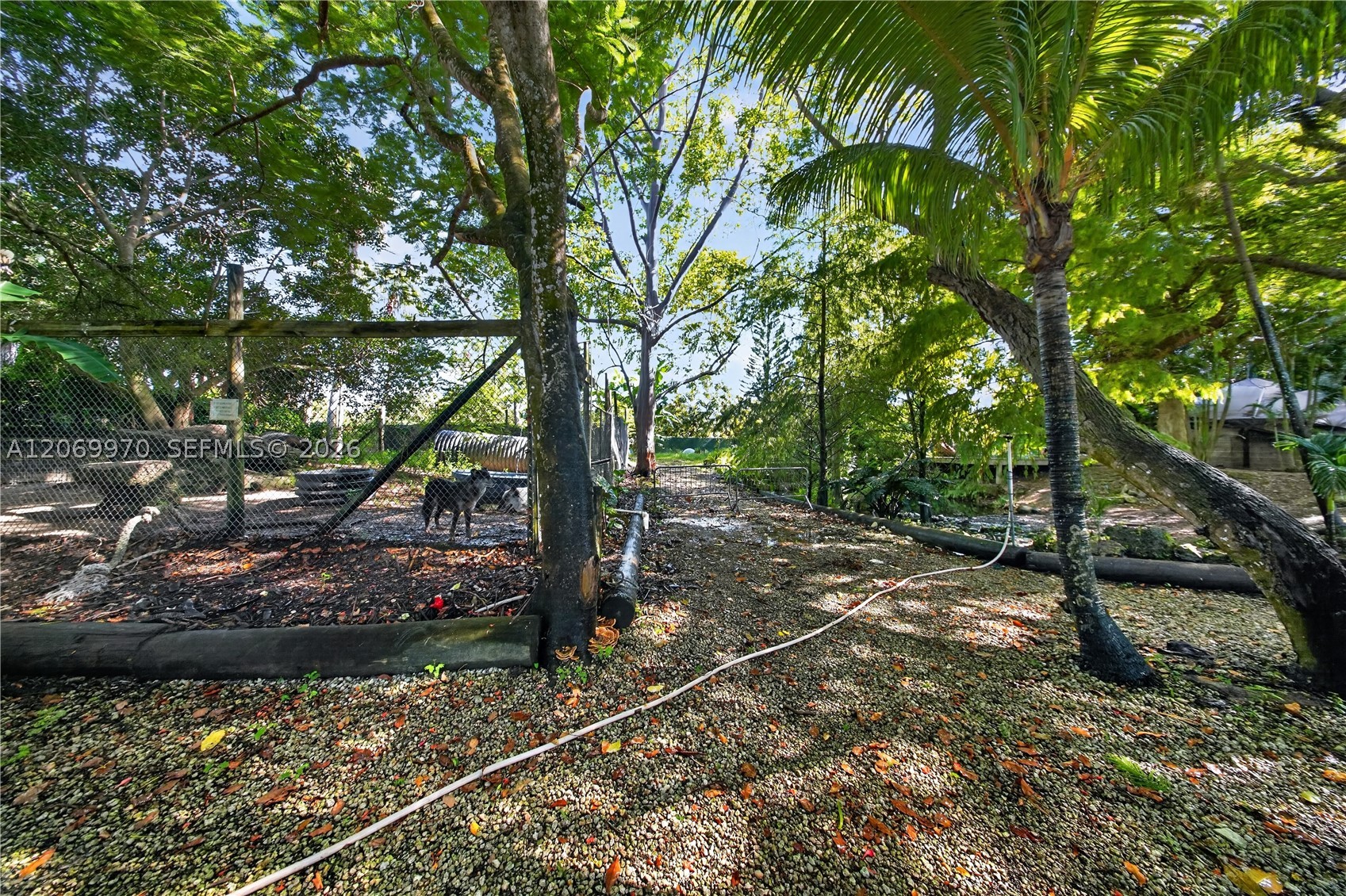 Homestead FL 33034 - A12069970