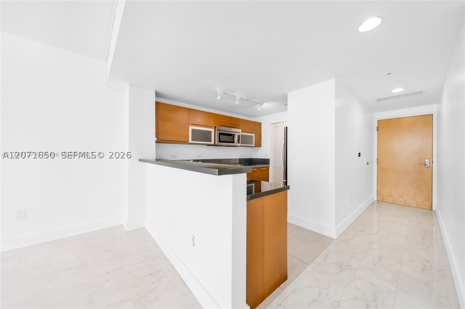244 Biscayne Blvd #3704, Miami FL 33132
