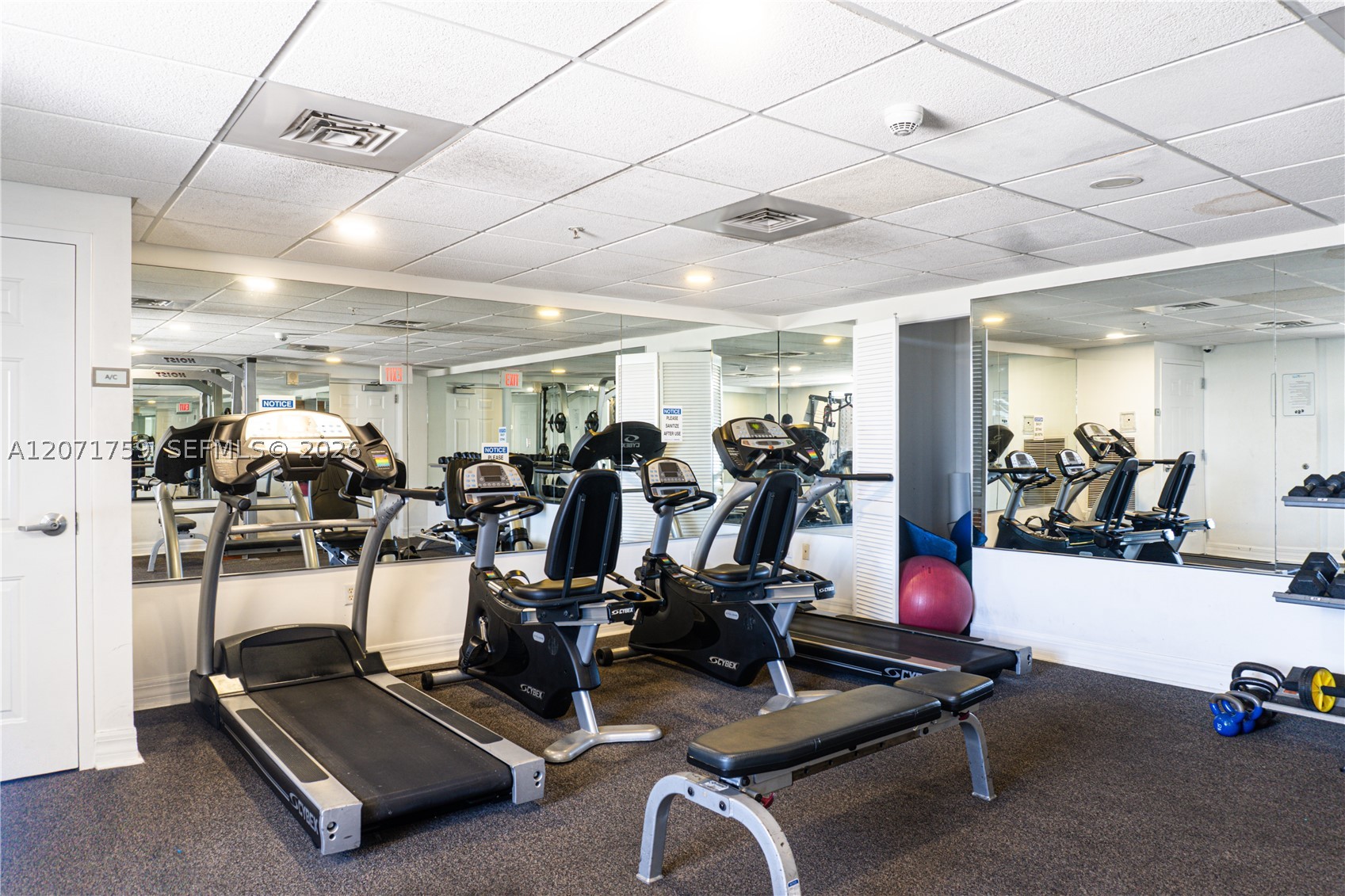 900 SW 8th St #1503, Miami FL 33130