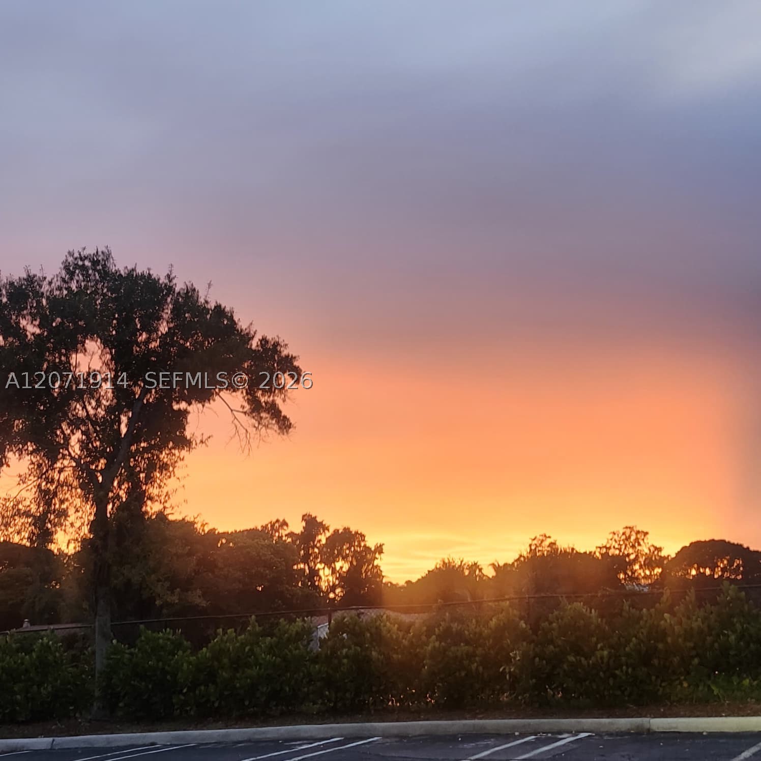 9188 W Atlantic Blvd #1513, Coral Springs FL 33071