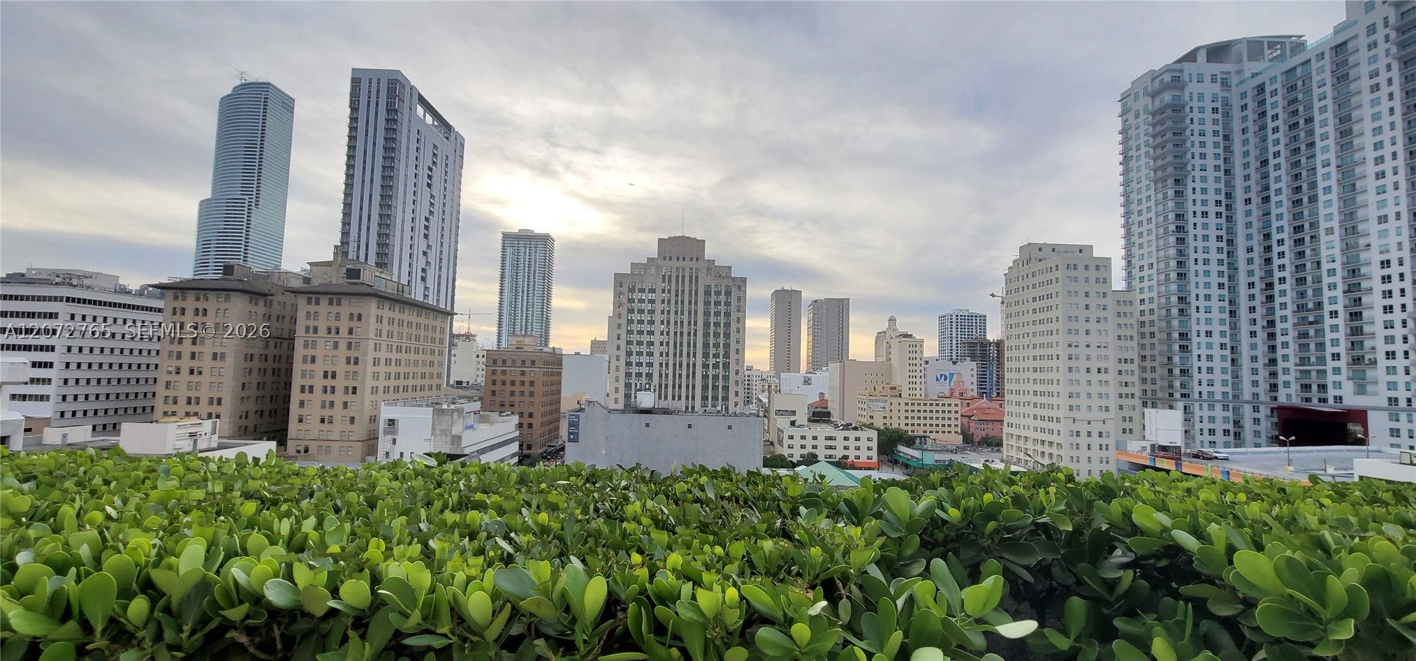 50 Biscayne Blvd #5202, Miami FL 33132