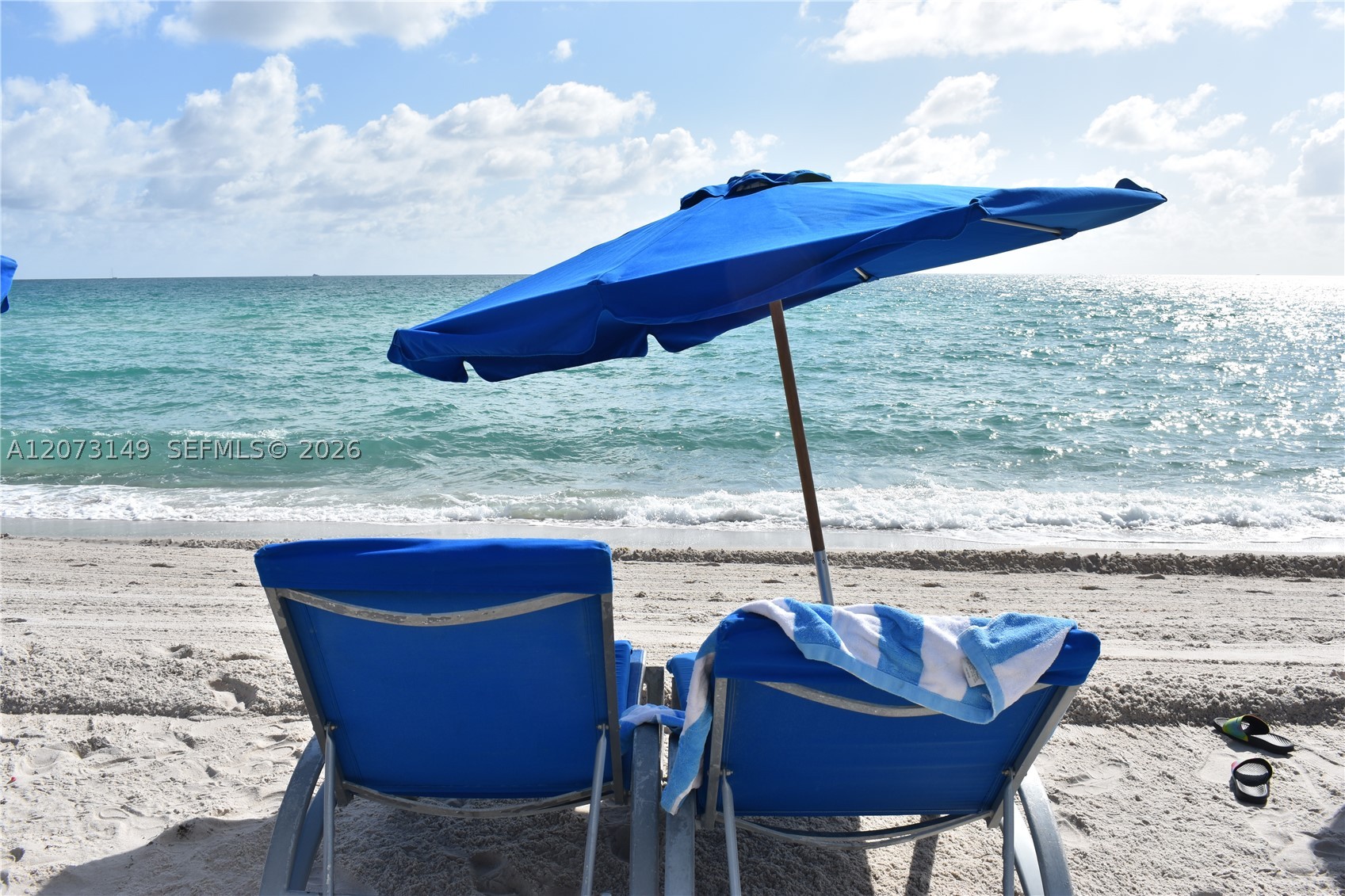 Miami Beach FL 33141 - A12073149
