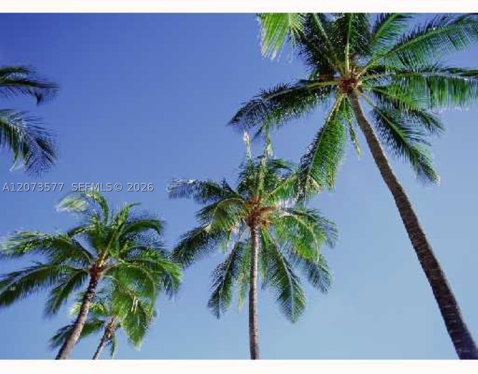 Miami Beach FL 33140 - A12073577
