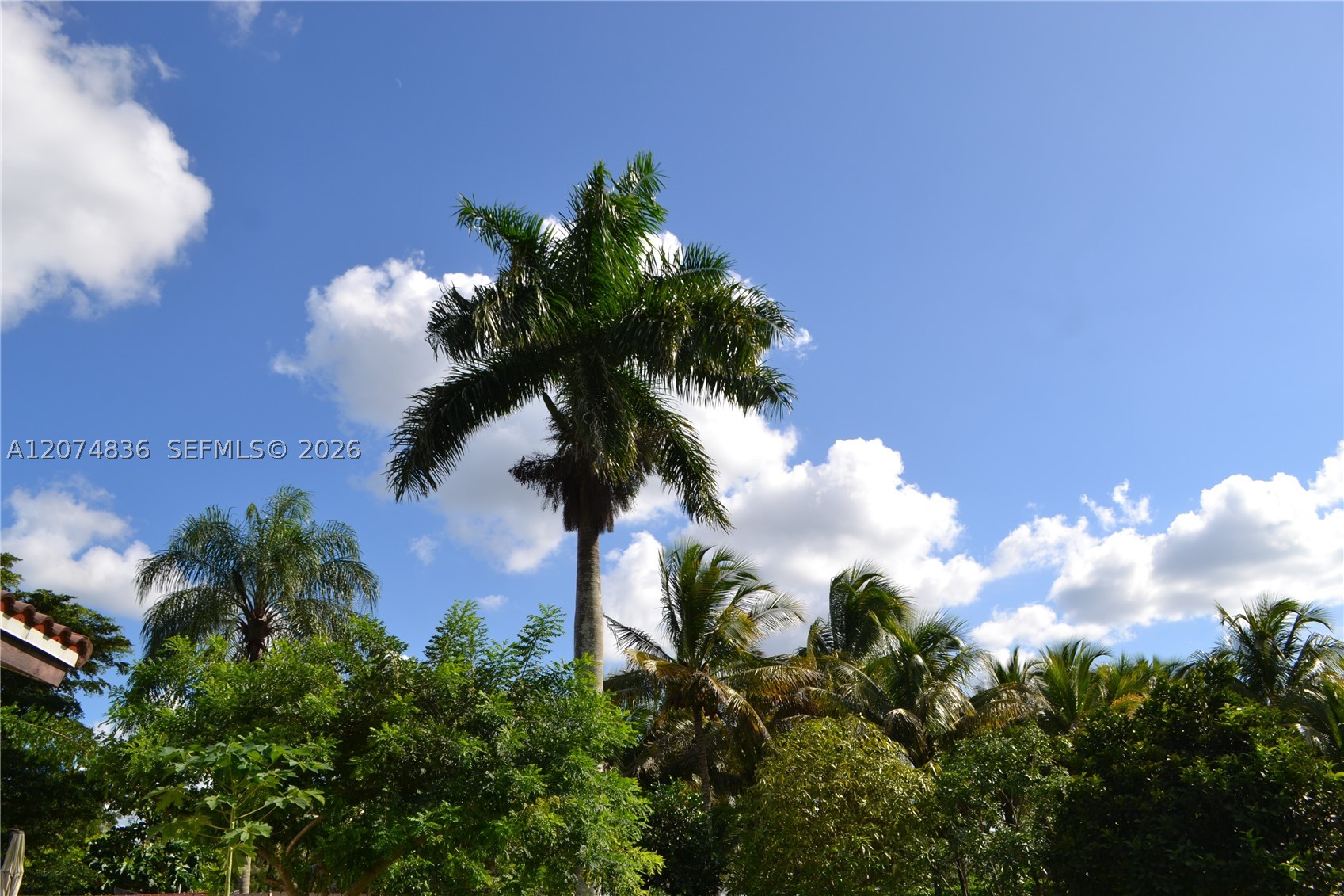 5425 SW 190th Ave, Southwest Ranches FL 33332