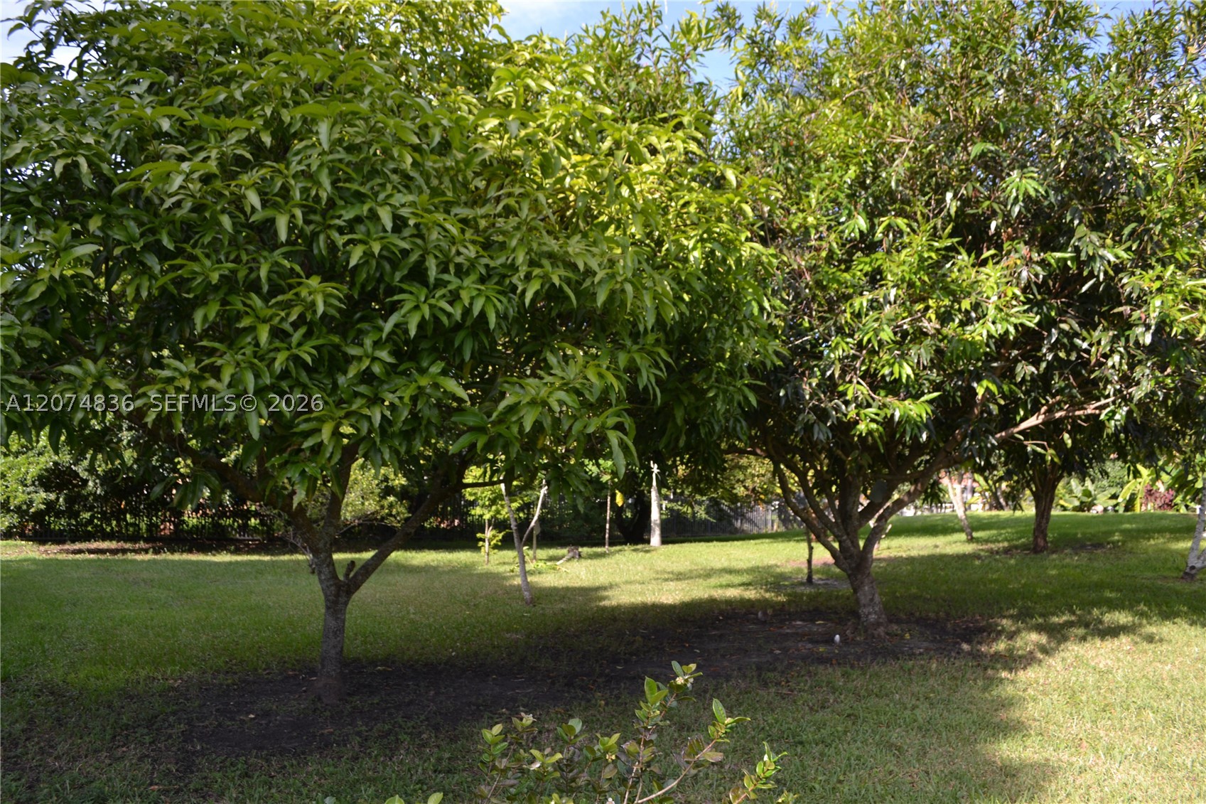 5425 SW 190th Ave, Southwest Ranches FL 33332