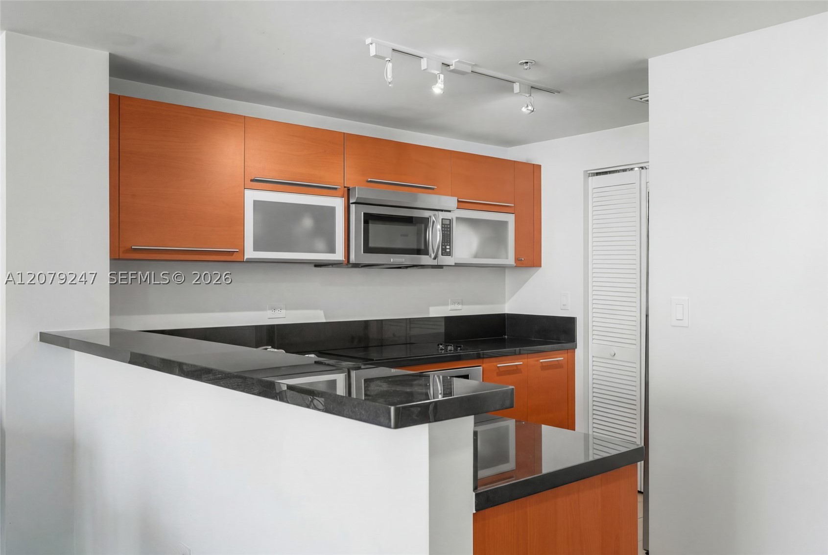 253 NE 2nd St #1007, Miami FL 33132