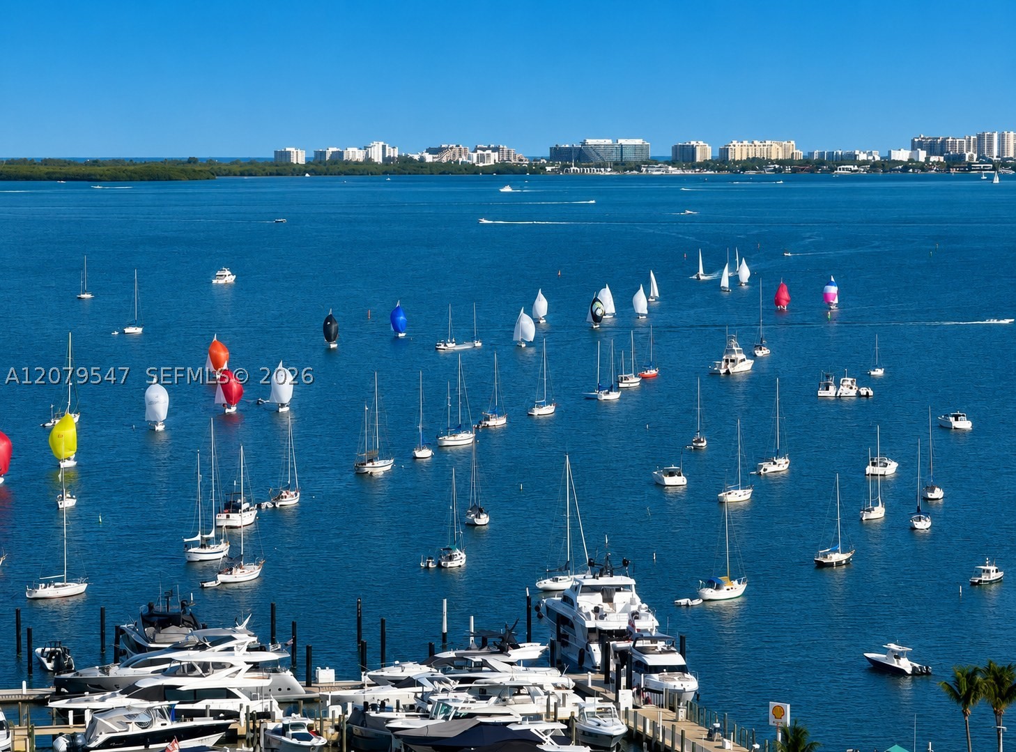 2655 S Bayshore Dr #1406, Miami FL 33133