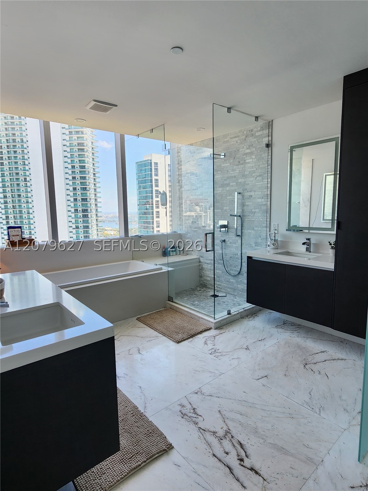 851 NE 1st Ave #3801, Miami FL 33132