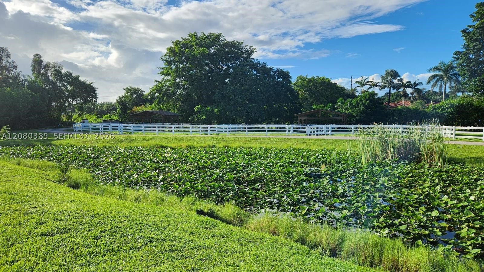14101 Luray Rd, Southwest Ranches FL 33330