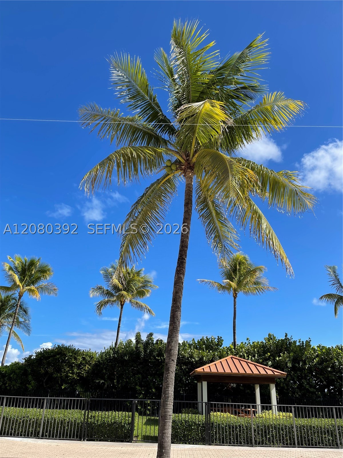 Miami Beach FL 33140 - A12080392