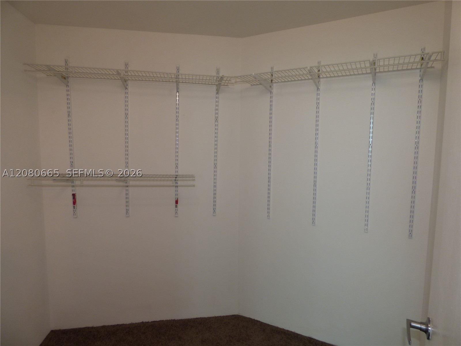 1900 N Bayshore Dr #2905, Miami FL 33132