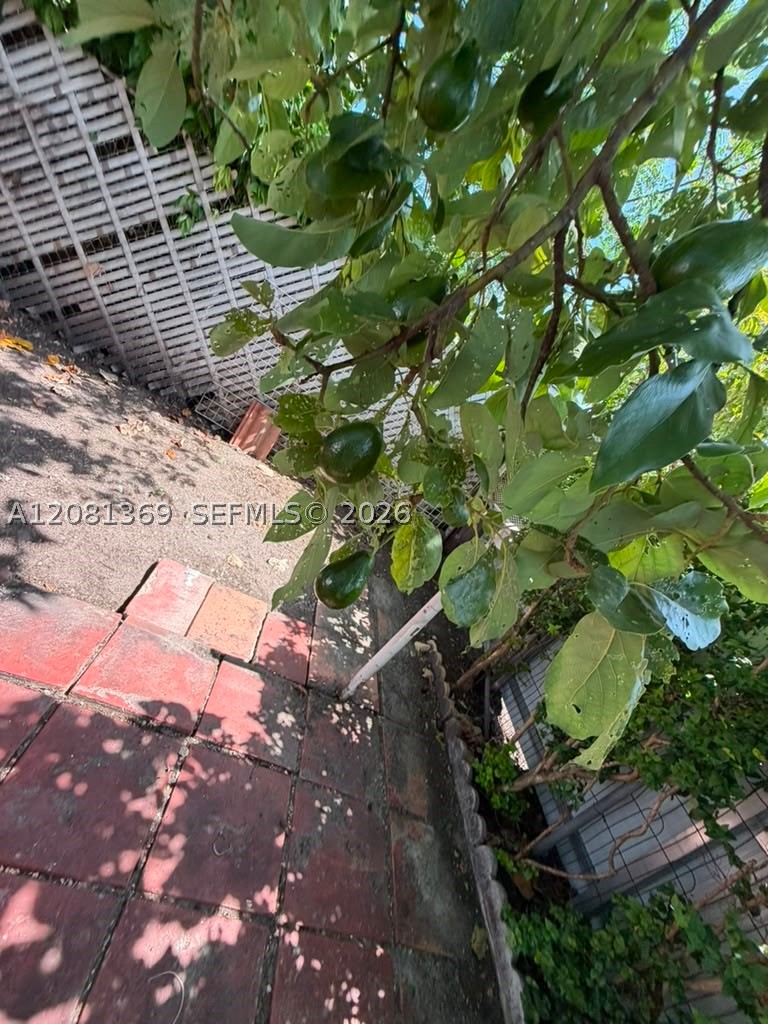 3500 NW 16th Ter, Miami FL 33125