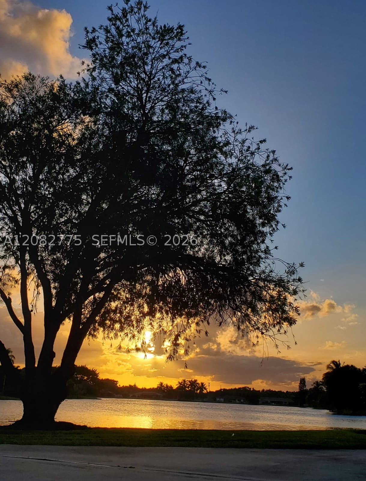 445 Lakeview Dr #1, Weston FL 33326