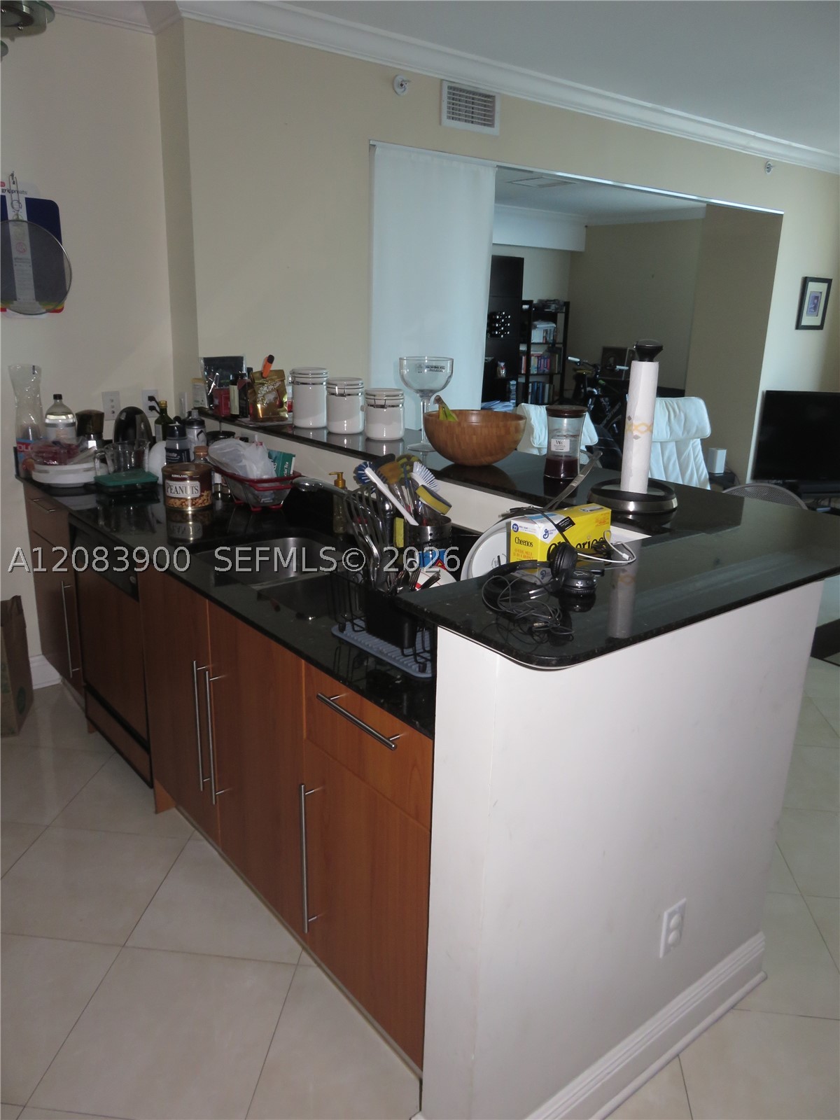 335 S Biscayne Blvd #1508, Miami FL 33131