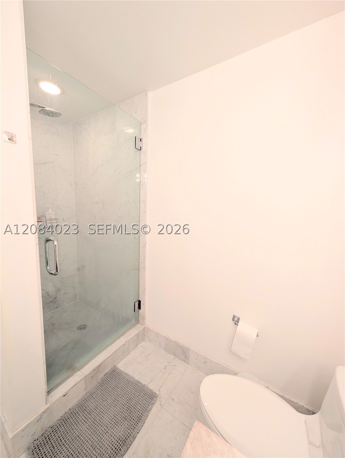 253 NE 2nd ST #3008, Miami FL 33132
