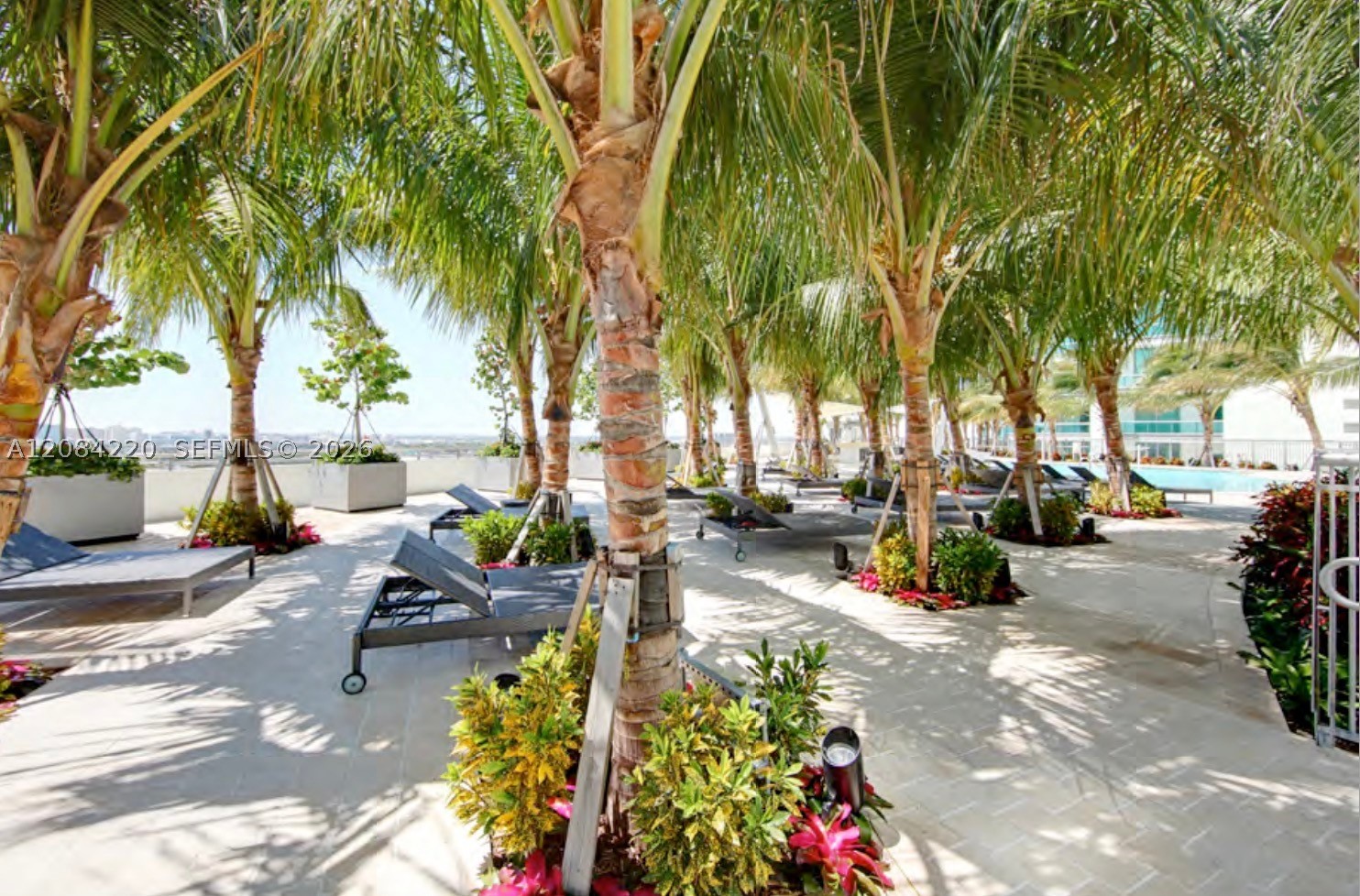 900 Biscayne Blvd #3007, Miami FL 33132