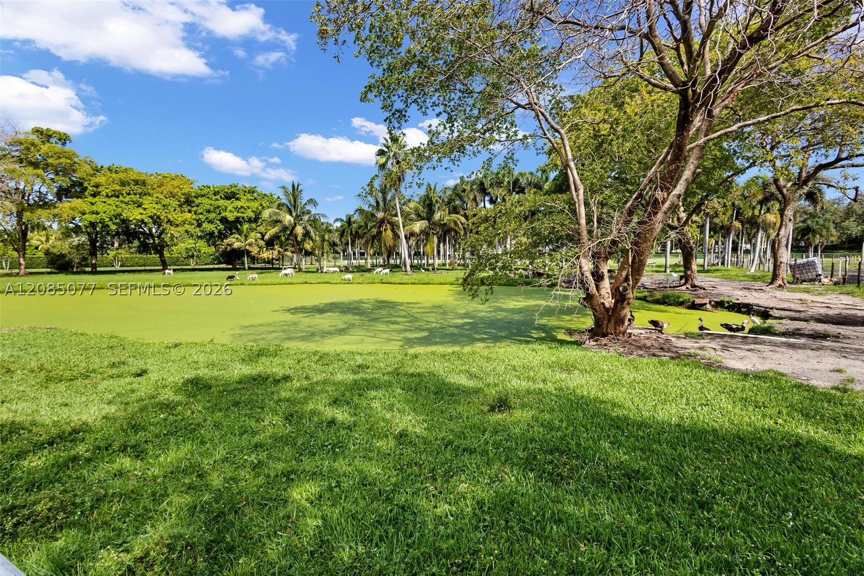3351 SW 132nd Ave, Miramar FL 33027