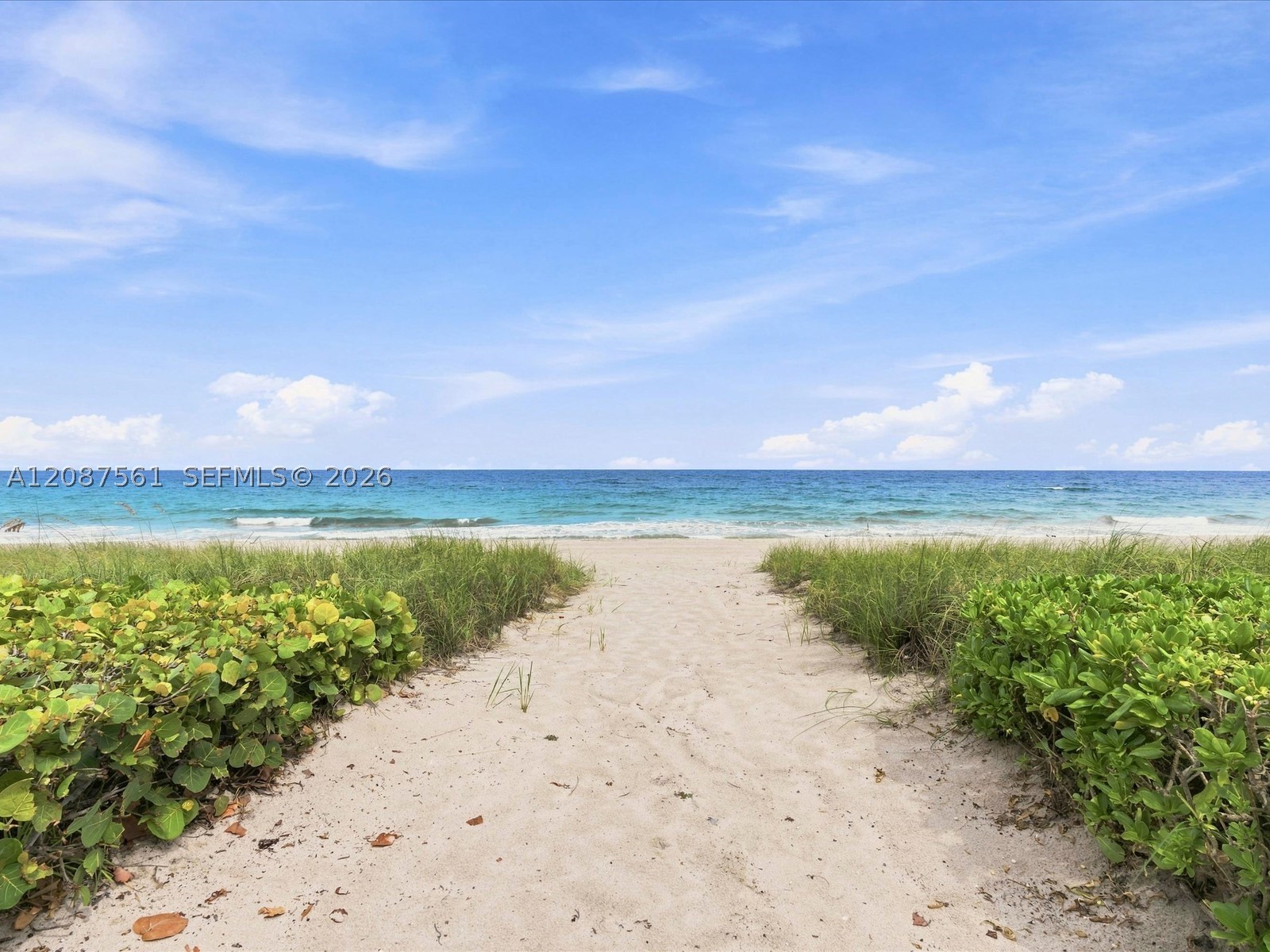 3036 N Atlantic Blvd, Fort Lauderdale FL 33308