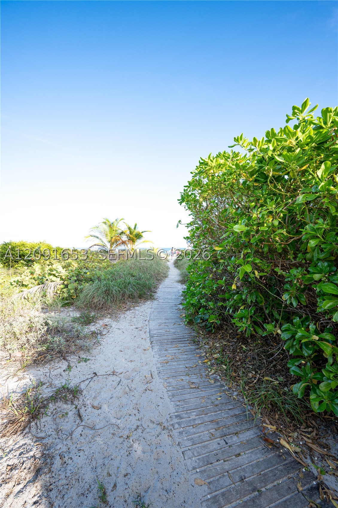 201 Crandon Blvd #739, Key Biscayne FL 33149