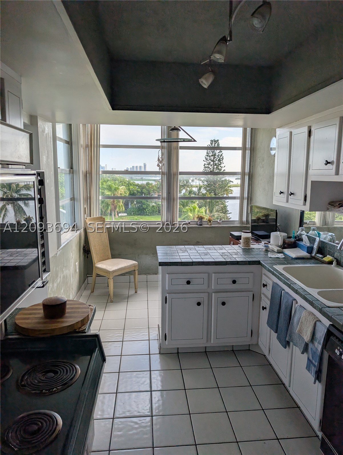 11930 N Bayshore Dr #502, North Miami FL 33181