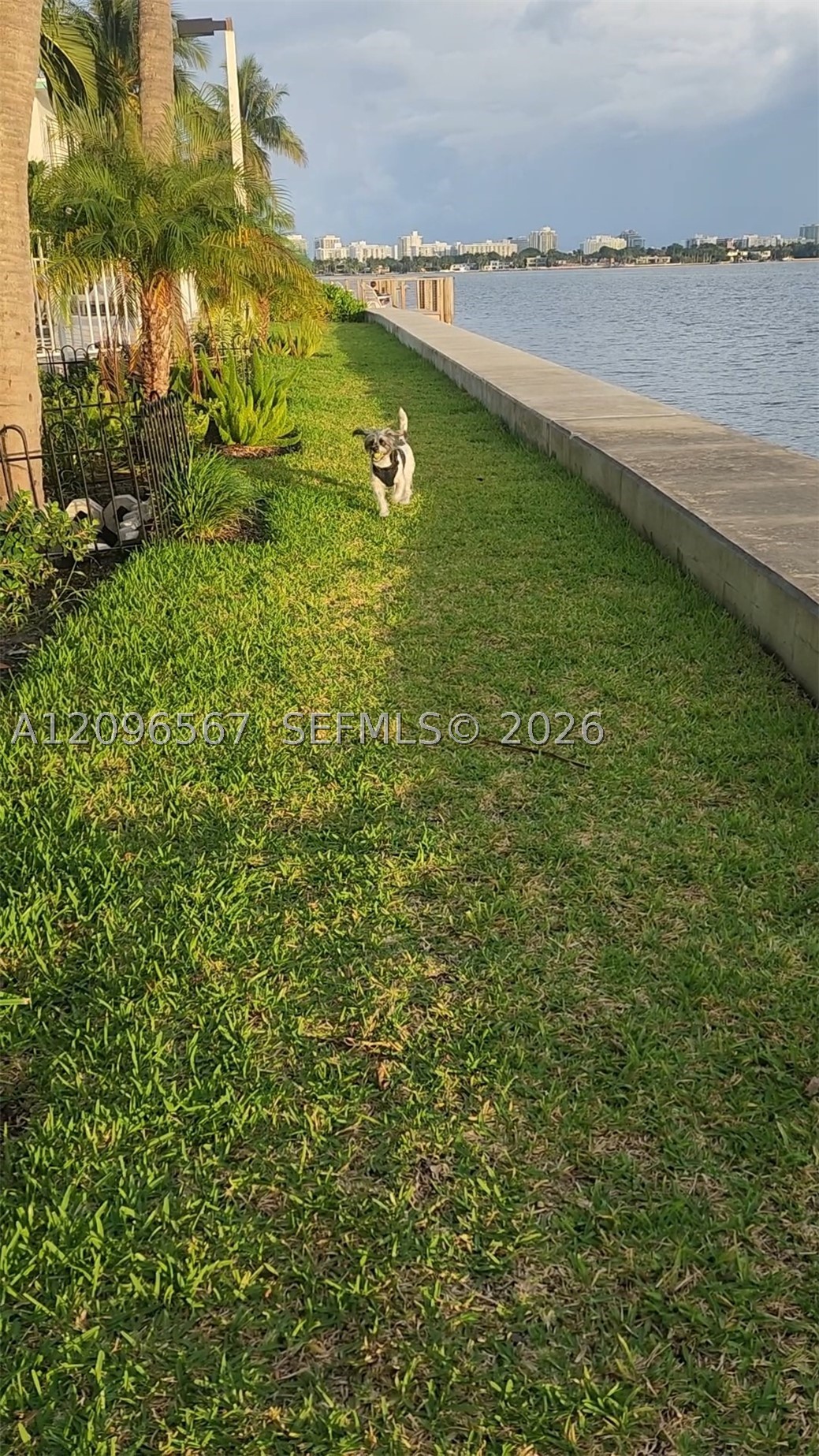 2000 Bay Dr #203, Miami Beach FL 33141