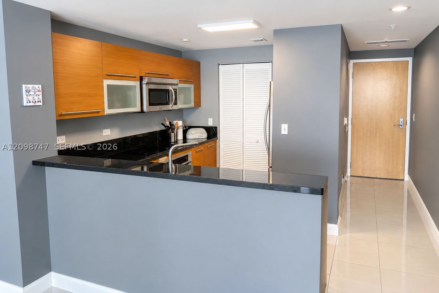 244 Biscayne Blvd #3204, Miami FL 33132