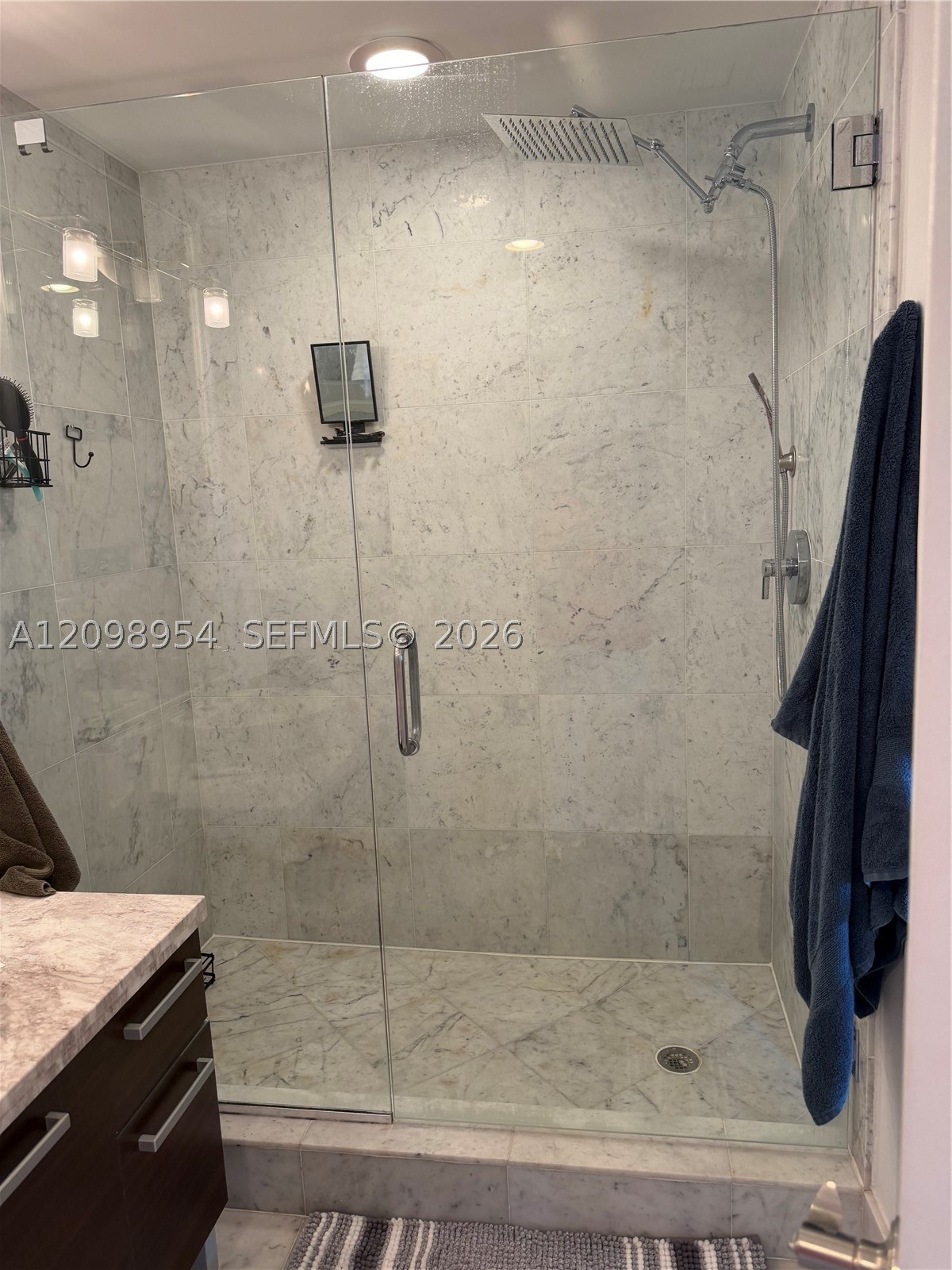 253 NE 2nd St #2405, Miami FL 33132