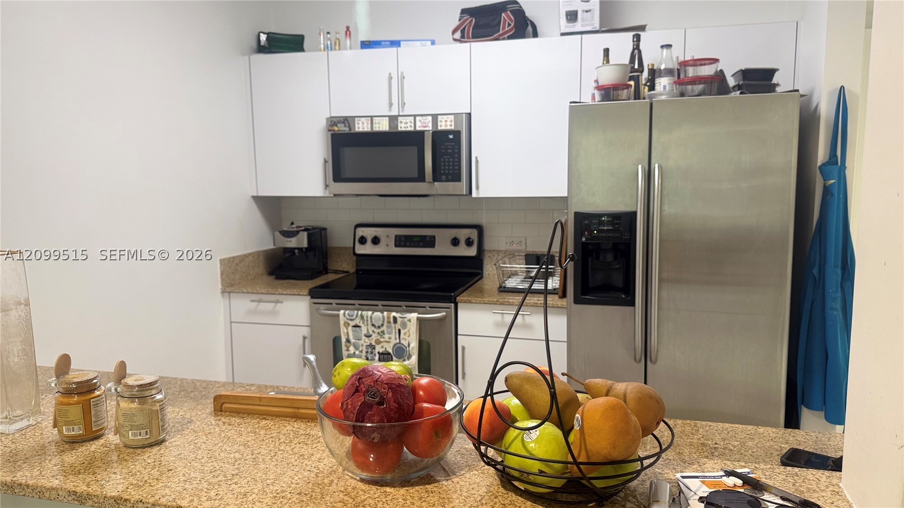 117 NW 42nd Ave #1106, Miami FL 33126