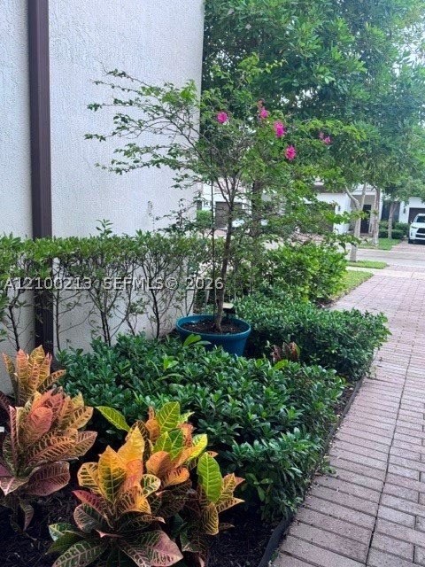 Miami FL 33179 - A12100213