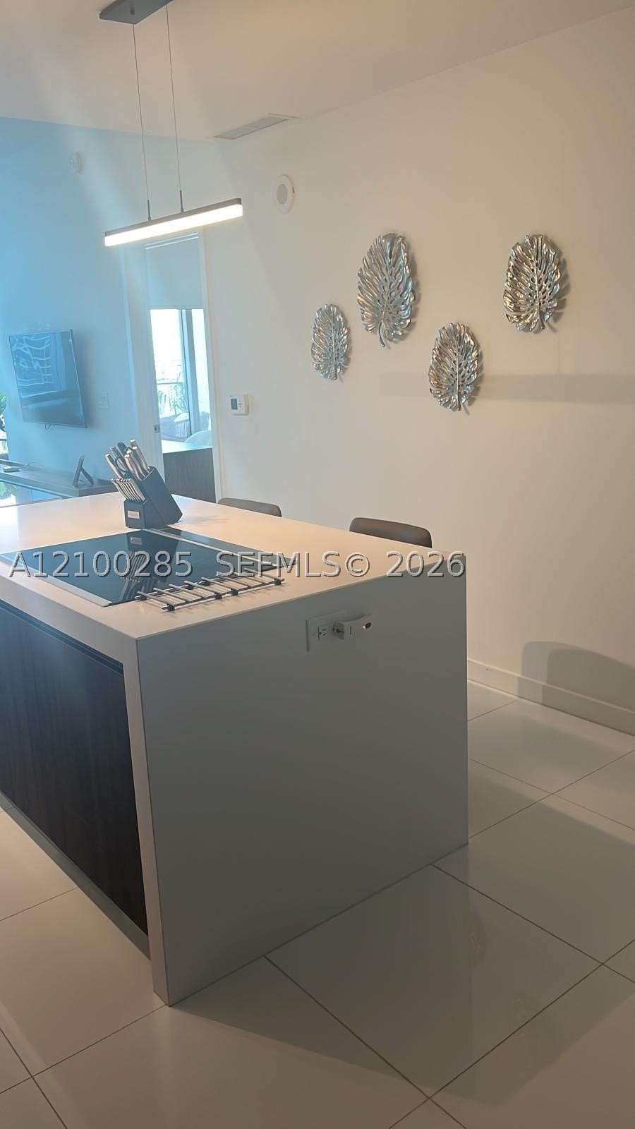 851 NE 1st Ave #1906, Miami FL 33132