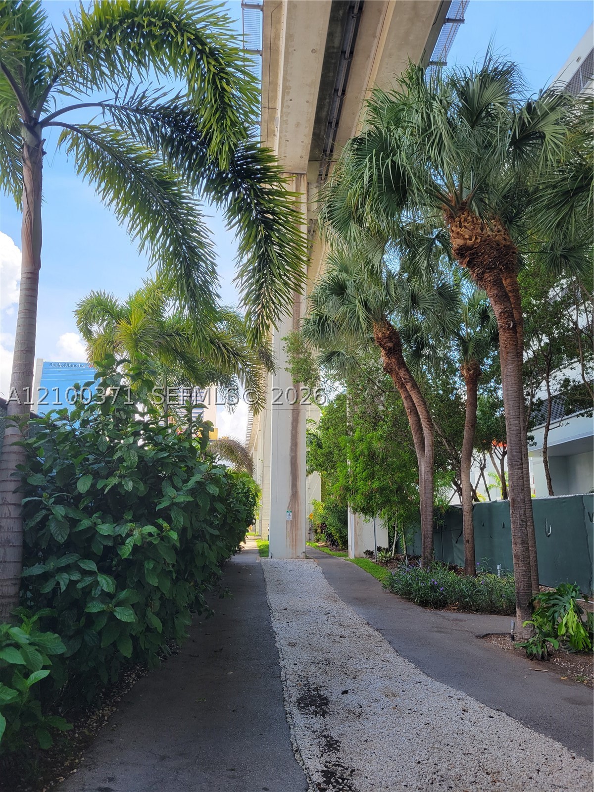 350 S Miami Ave #3705, Miami FL 33130