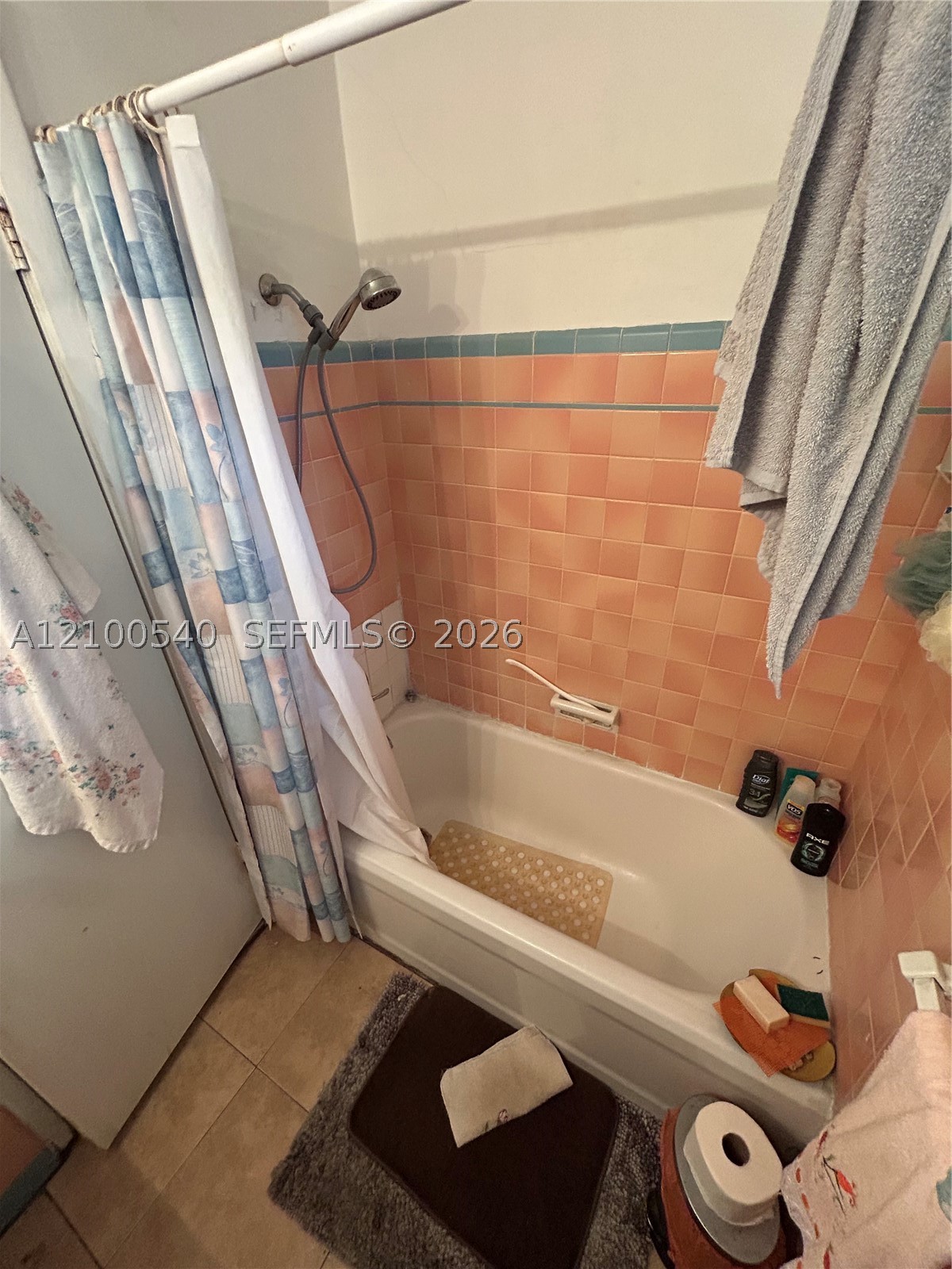 8270 NE 2nd Ct, Miami FL 33138