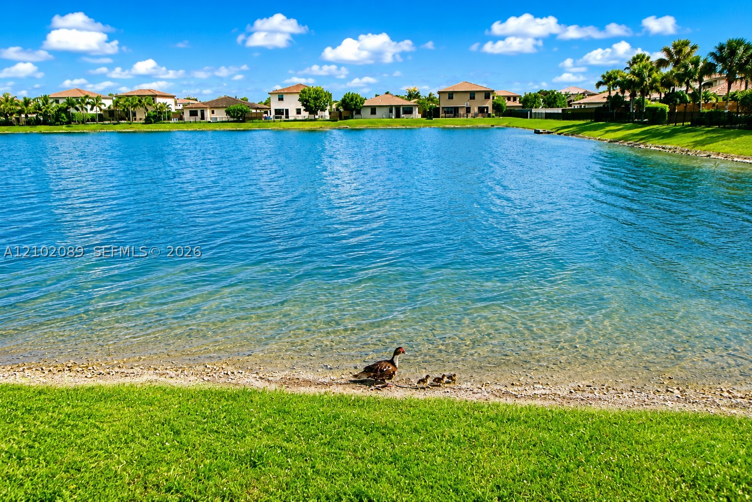 2450 SE 1st St #0, Homestead FL 33033