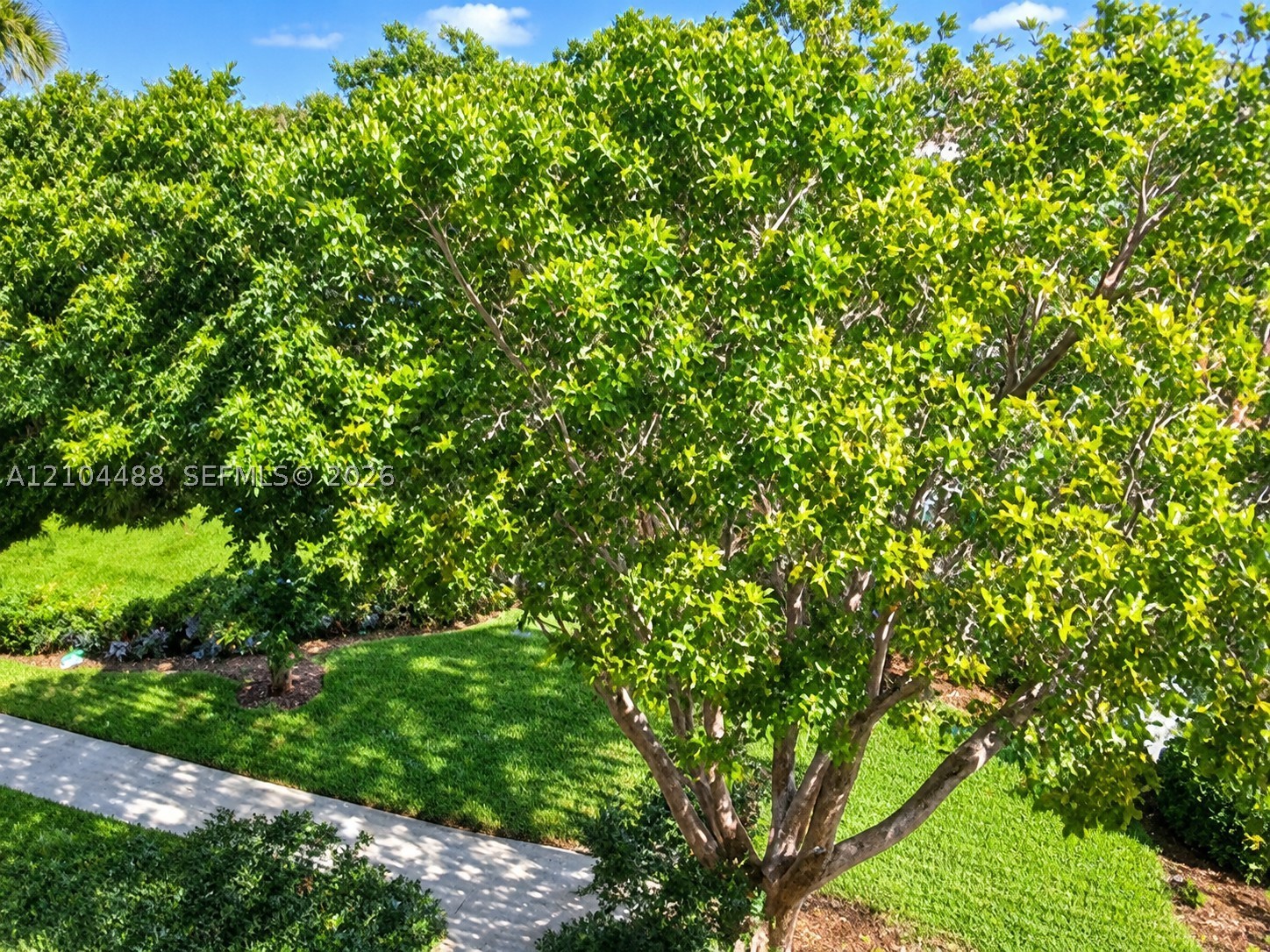 520 SE 12th St #305, Dania Beach FL 33004