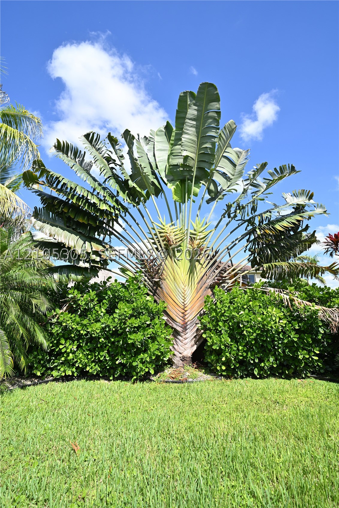 1631 NW 21st St #0, Homestead FL 33030