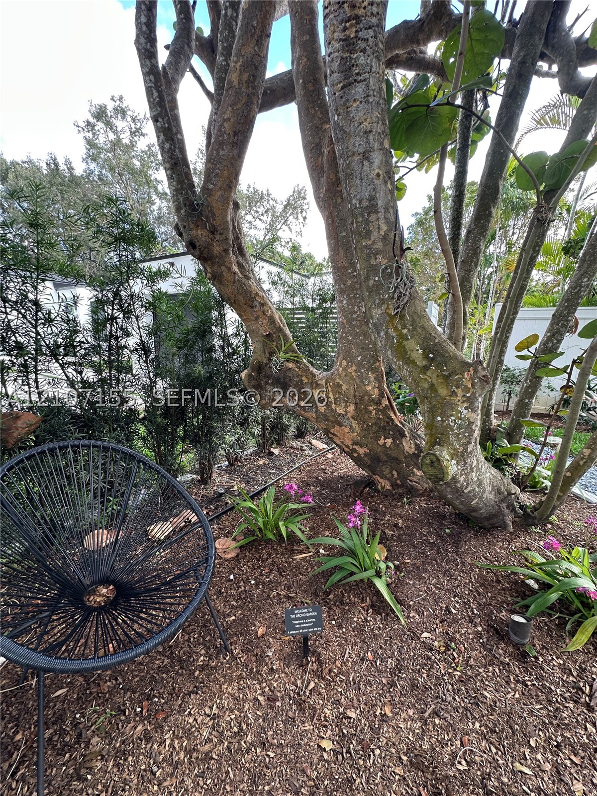 62 NW 105th St, Miami Shores FL 33150