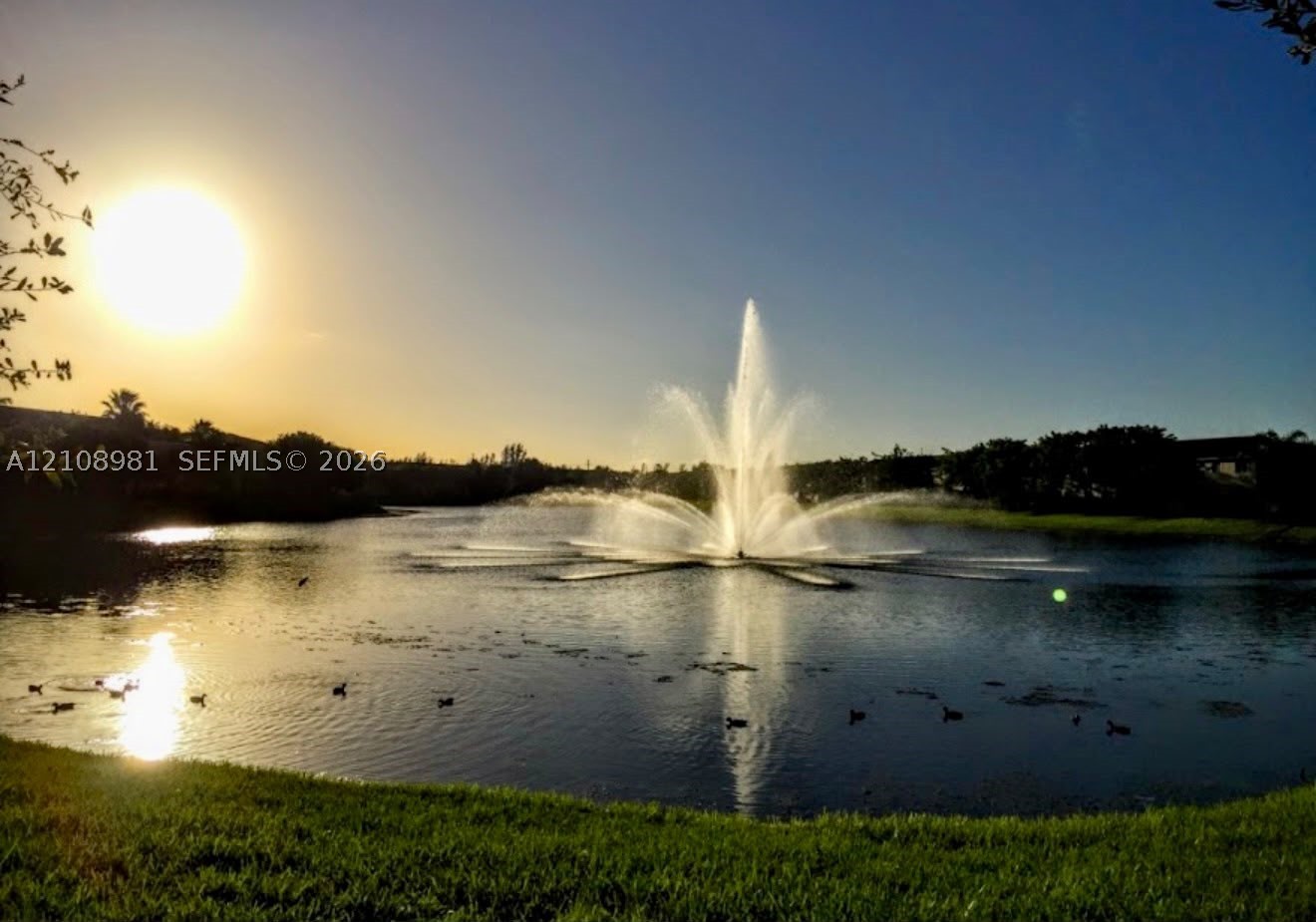 2650 SE 16th Ter #203, Homestead FL 33035