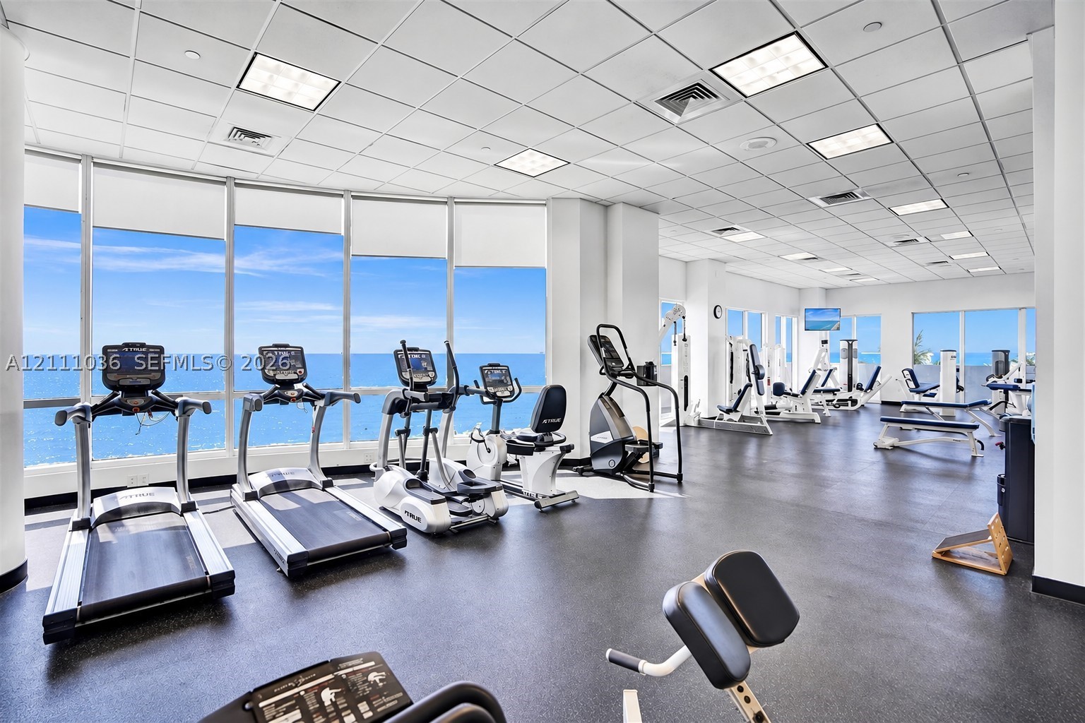 6365 Collins Ave #3811, Miami Beach FL 33141