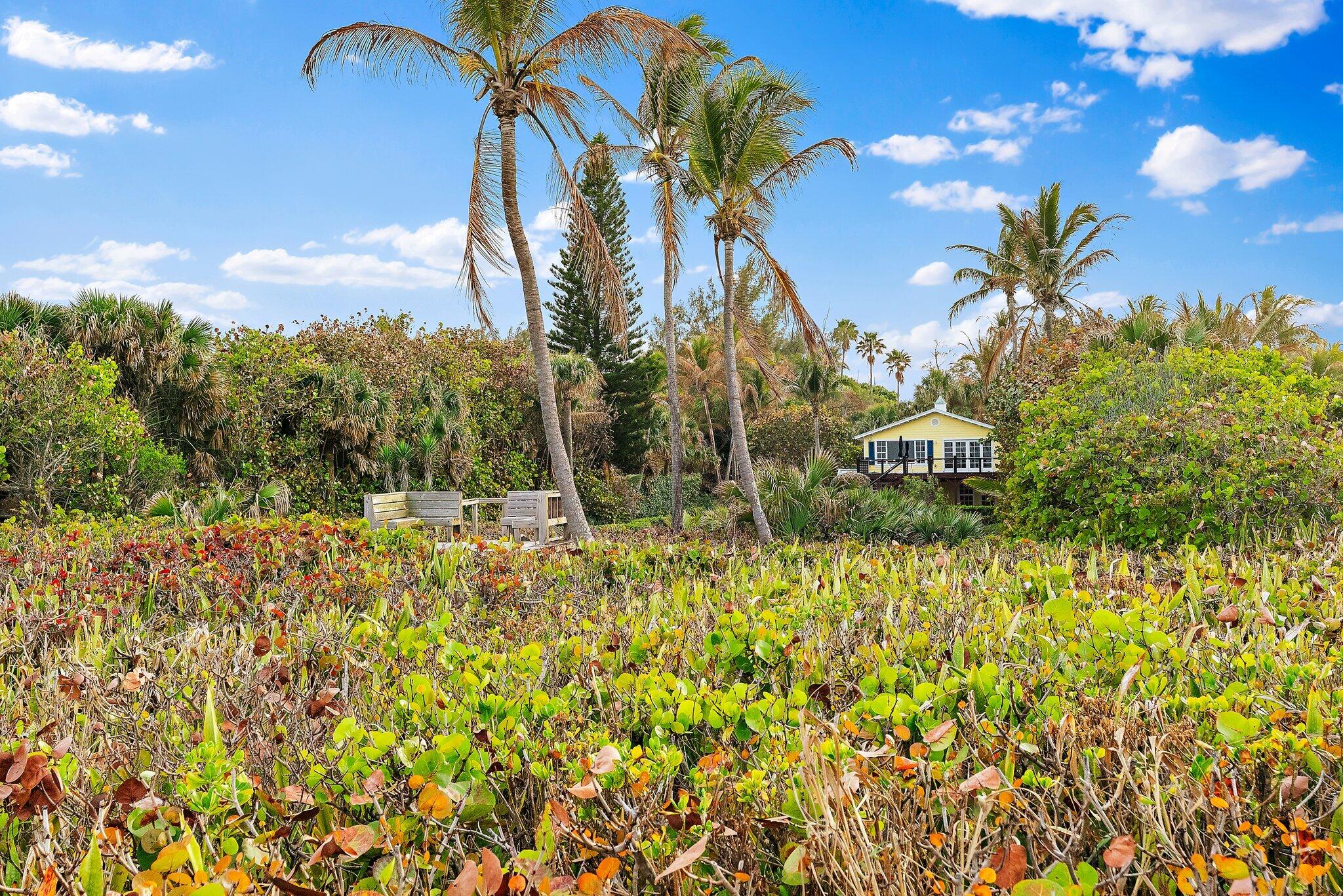 31 N Beach, Jupiter Island FL 33455