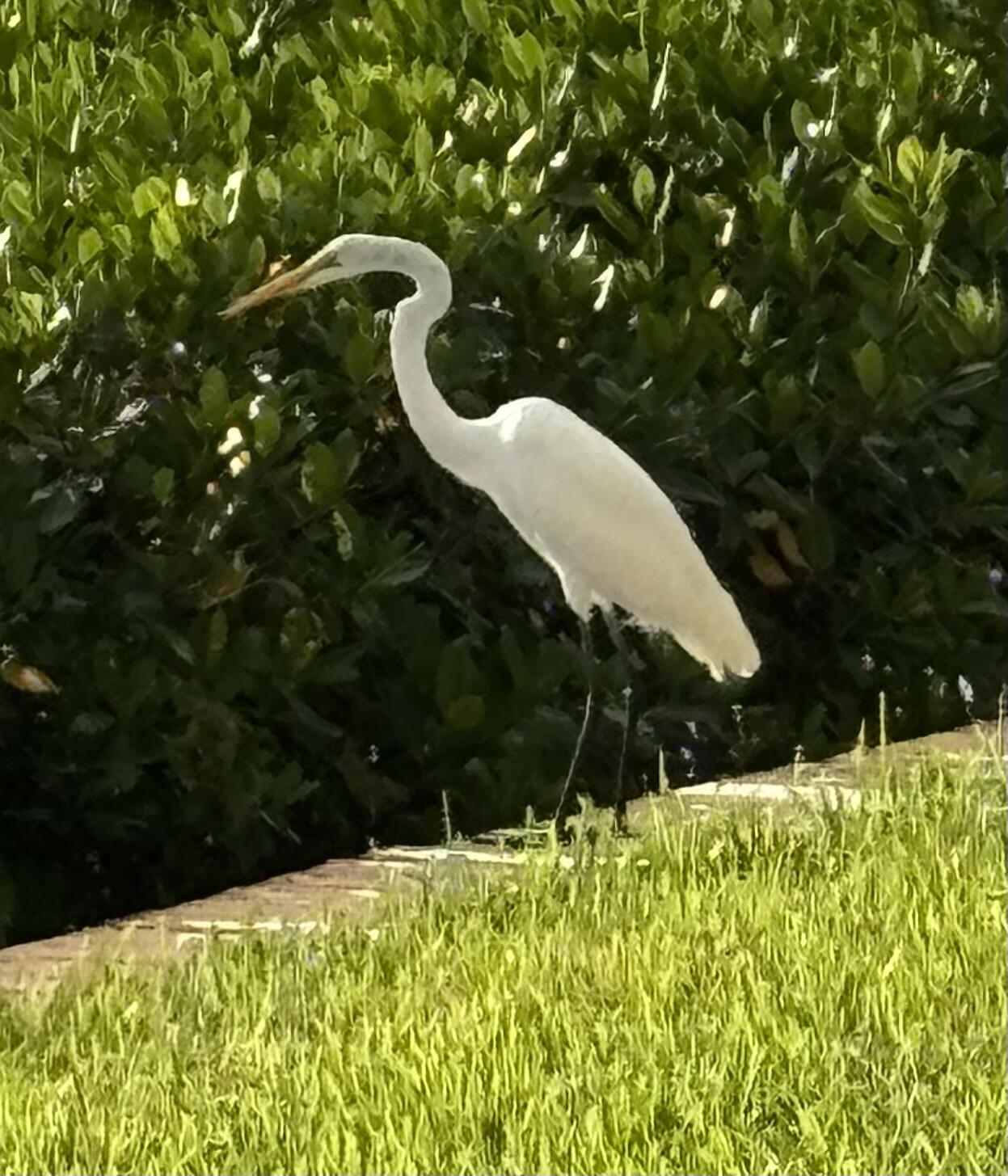 4440 NE Sandpebble #104, Stuart FL 34996