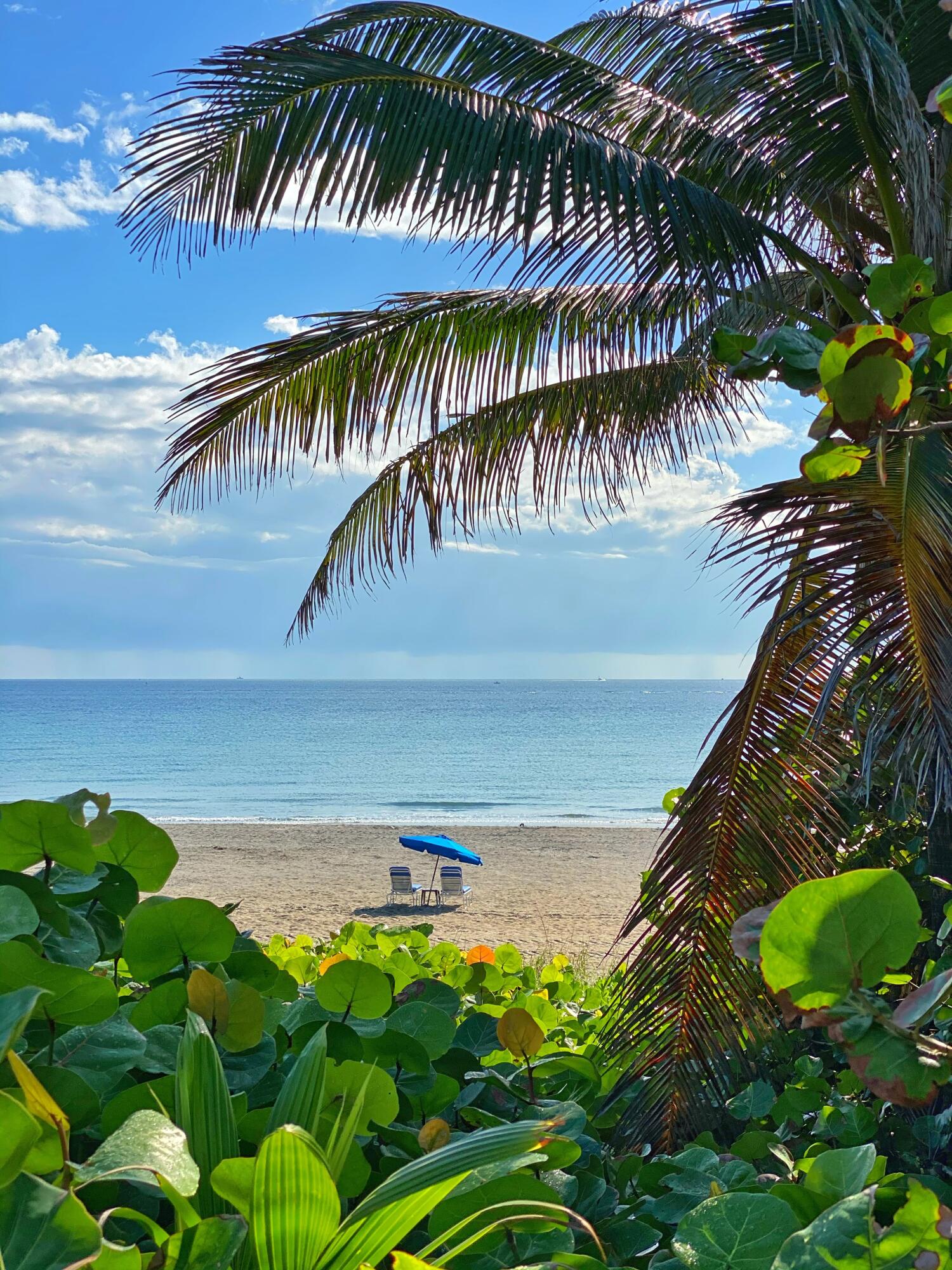 700 E Boynton Beach #1203, Boynton Beach FL 33435