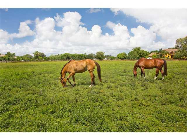 2088 Appaloosa, Wellington FL
