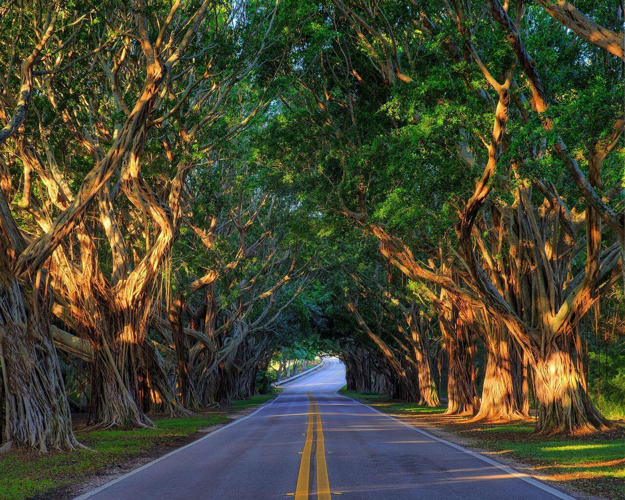 9165 SE Yacht Club, Hobe Sound FL 33455