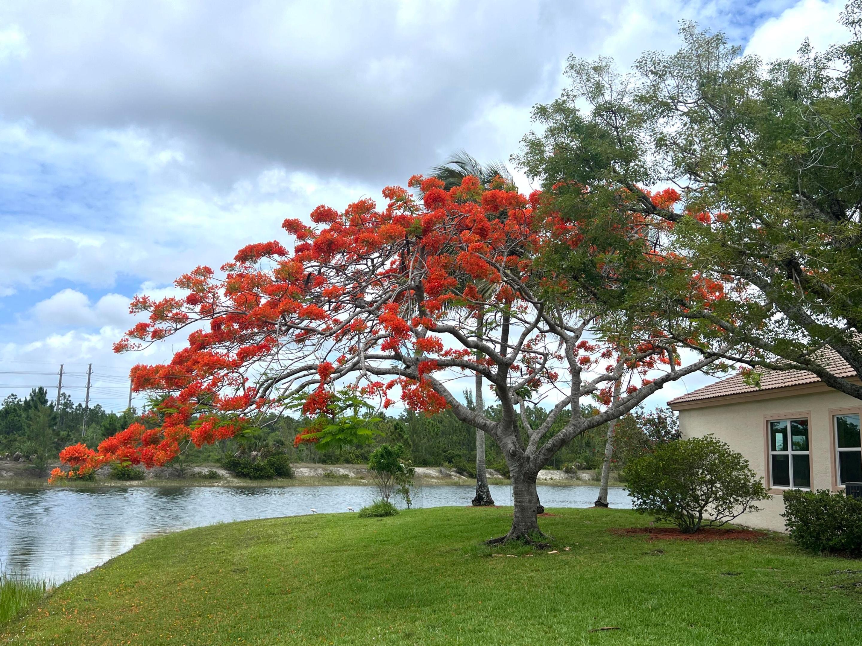 4552 N San Andros, West Palm Beach FL 33411