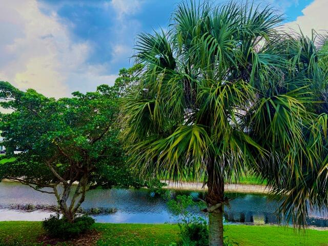 6703 Via Regina, Boca Raton FL 33433