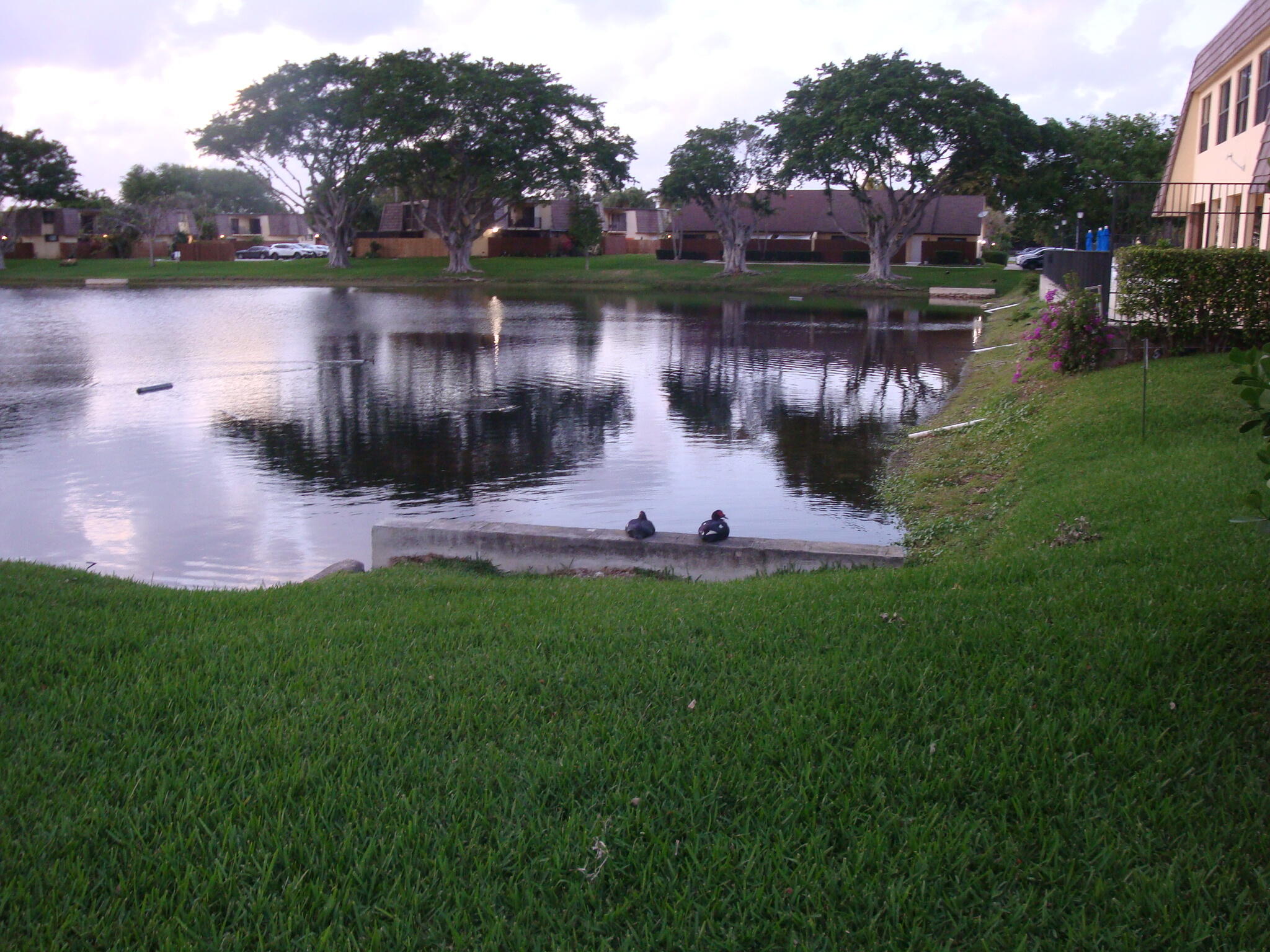 594 Springdale #59-d, Palm Springs FL 33461