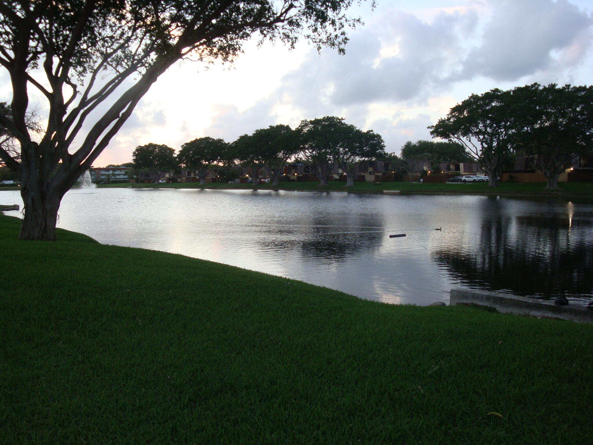 594 Springdale #59-d, Palm Springs FL 33461