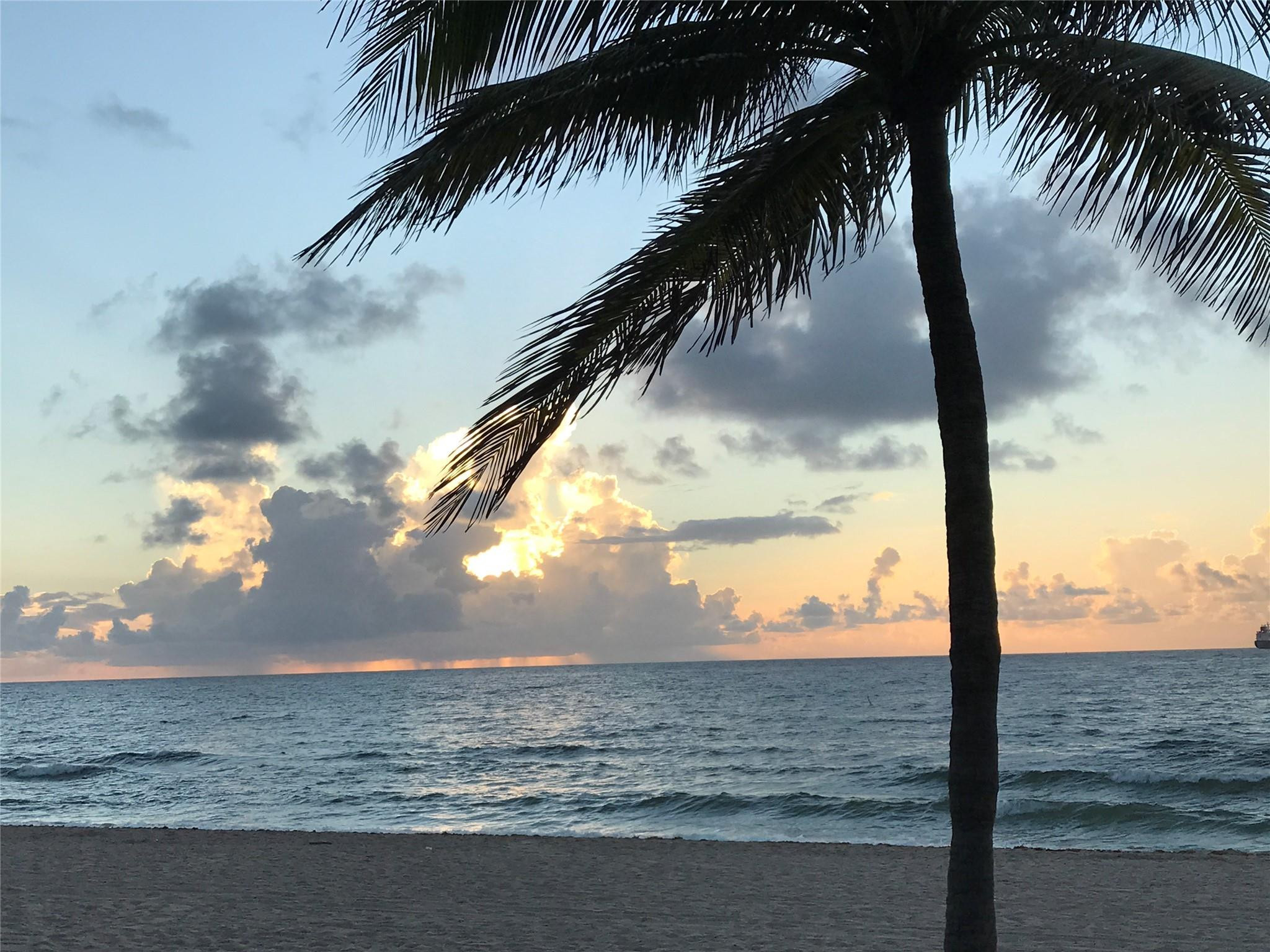 333 Sunset #208, Fort Lauderdale FL 33301