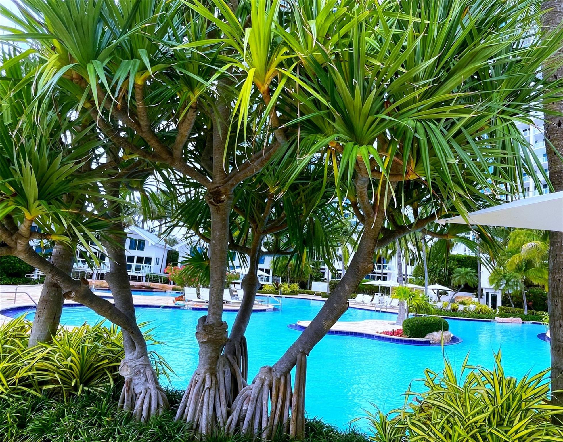 100 S Pointe #602, Miami Beach FL 33139
