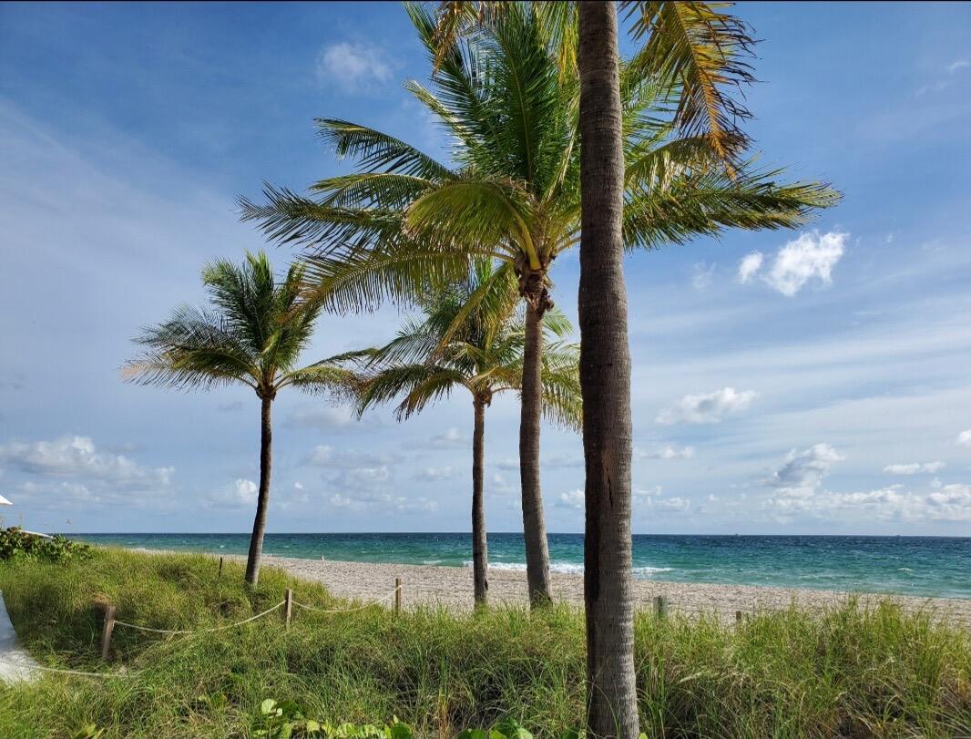 3201 NE 29th #308, Fort Lauderdale FL 33308